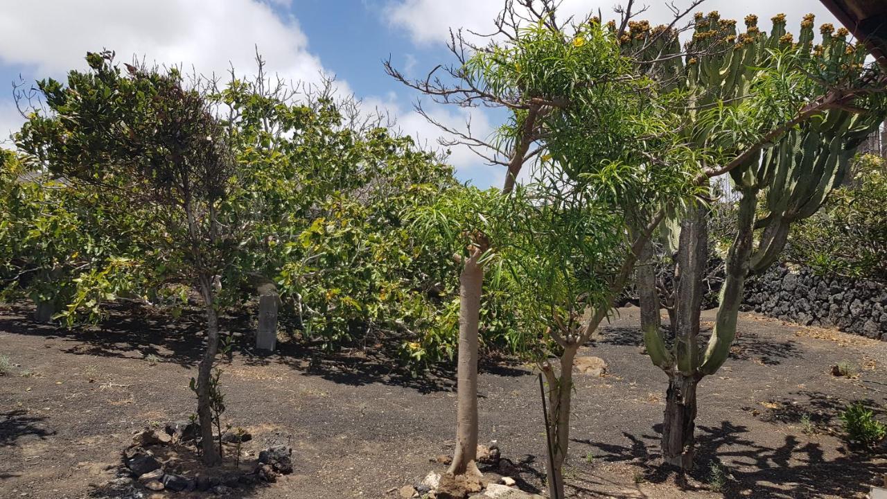 Finca Relax, Sea View, Oasis Vasiliko, La Asomada Tías Exteriör bild